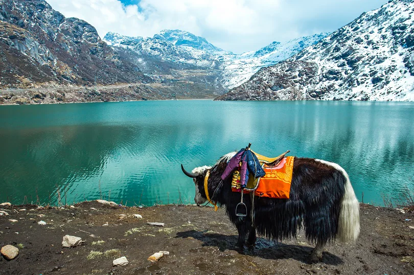 Bengal & Sikkim